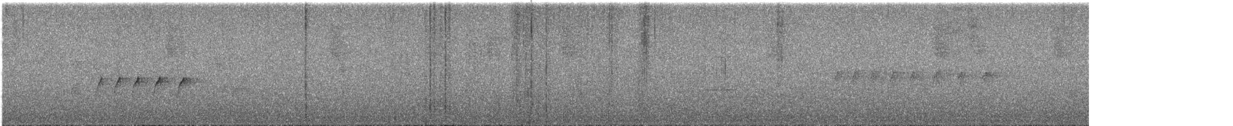フサボウシハエトリ（aurantiiventris） - ML615831035