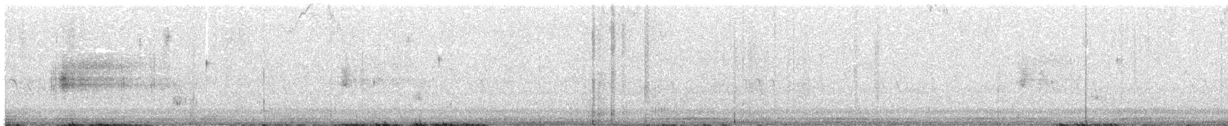 Bruant de Nelson (subvirgata) - ML615832542