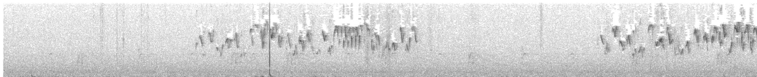 Troglodyte de Baird - ML615832755