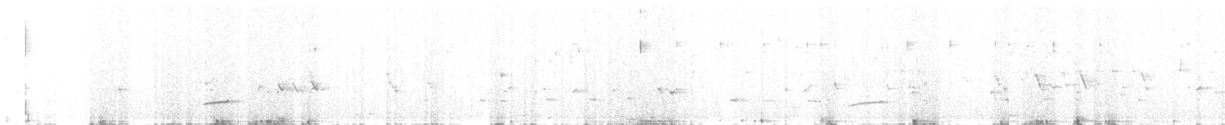 Чернокрылая монашка - ML615835459