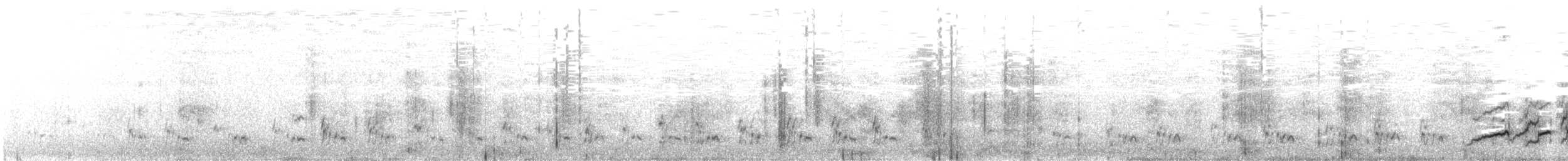 Rufous-bellied Seedsnipe - ML615835950