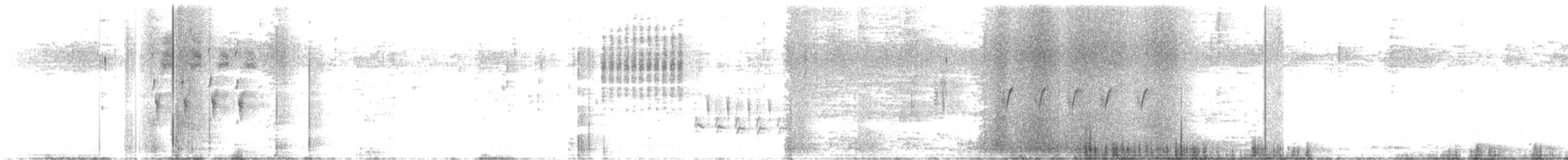 Troglodyte de Latham - ML615836618