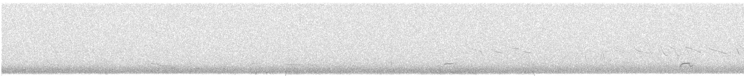 Tinamou élégant - ML615839984