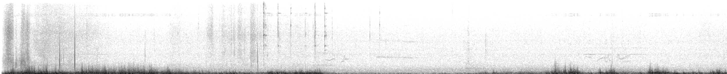 østblåfugl (guatemalae gr.) - ML615845571