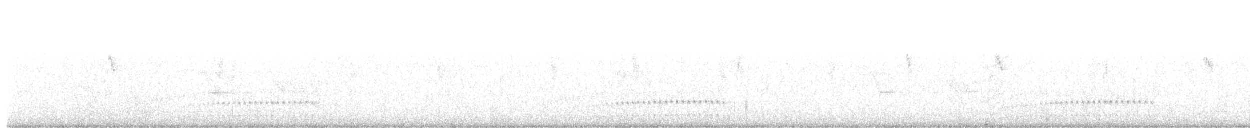 Rostbürzeltapaculo - ML615845735