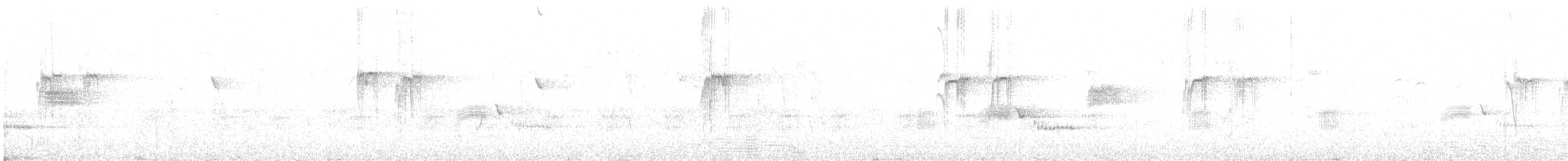 Синекрылый травяной попугайчик - ML615848128