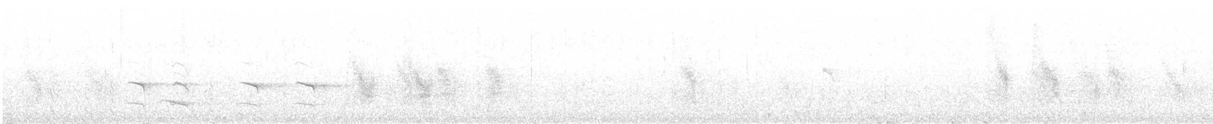 hvitnakkehonningeter - ML615848159