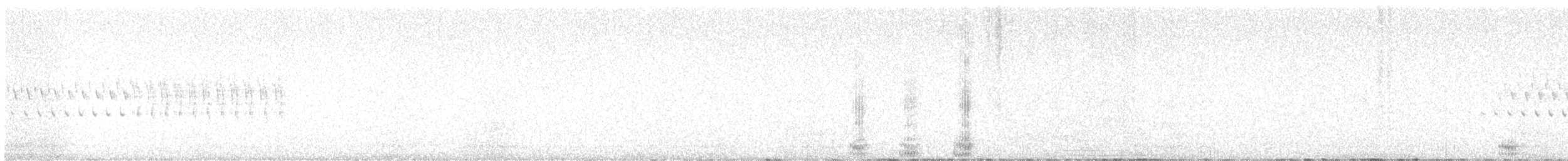 Piquituerto Aliblanco - ML615848229