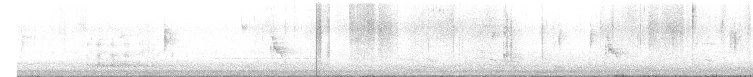 Белокрылая канделита - ML615848349