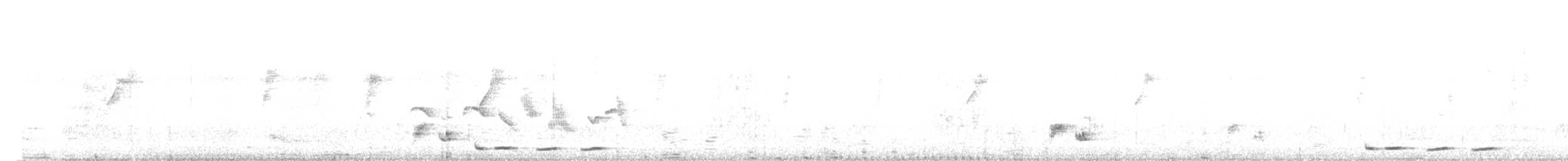 Желтоклювый саблеклюв - ML615849531