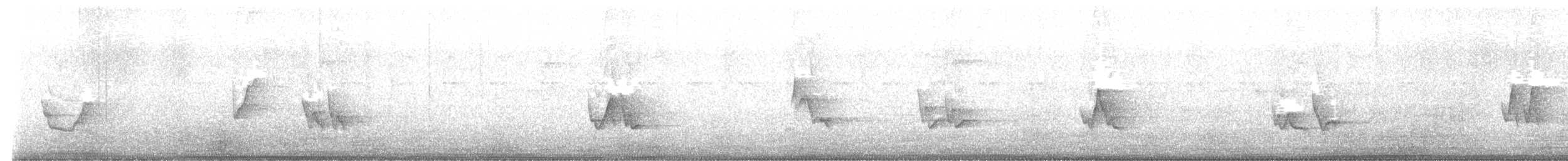 Vireo begigorria - ML615849562