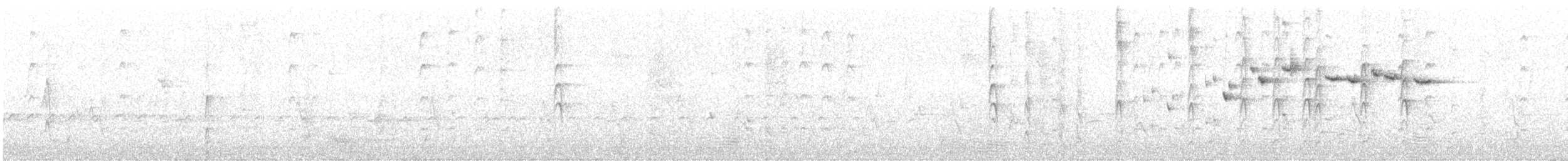 Gray Fantail - ML615853127