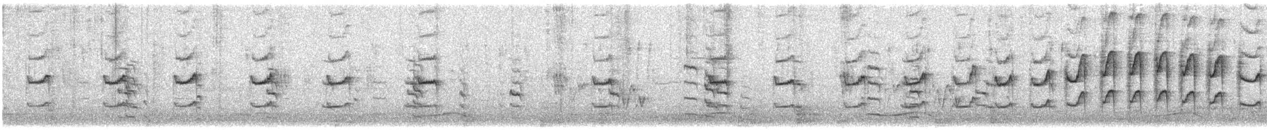 kastanjenonne (atricapilla gr.) - ML615854437