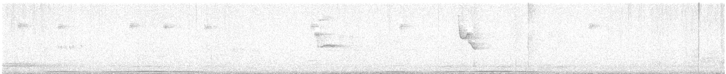 Black Wood-Pigeon - ML615855312