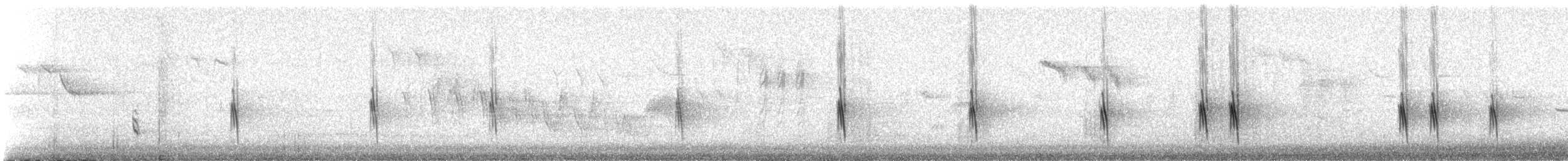 Bec-croisé des sapins - ML615855331