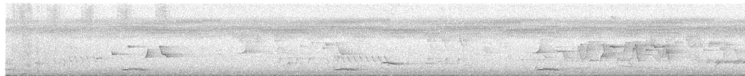 holoubek proužkokrký - ML615855354