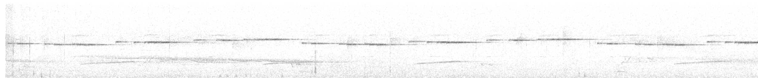 Spotted Elachura - ML615856814