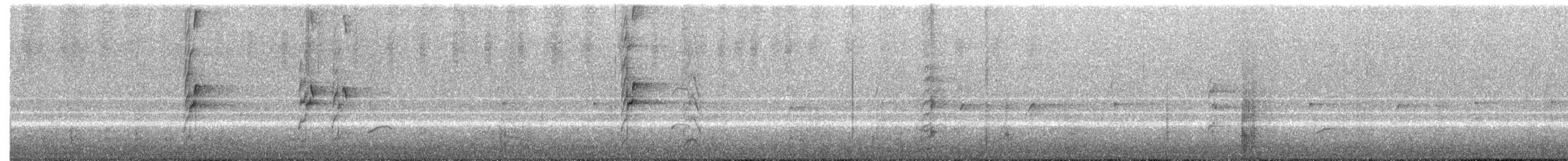 Musk Lorikeet - ML615857727