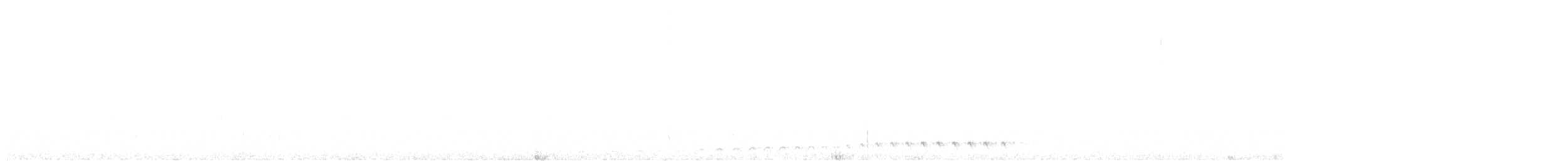 White-throated Nightjar - ML615857936