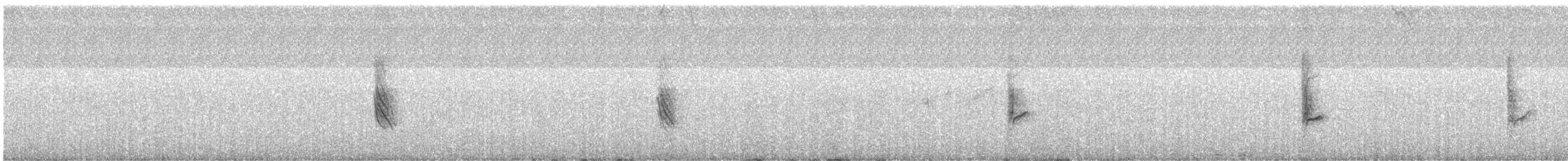 Чернокрылый снежный воробей - ML615858729
