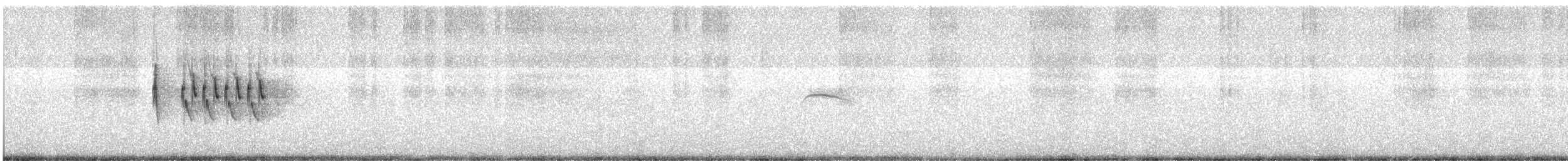 skrentsanger (affinis/perflavus) - ML615858913