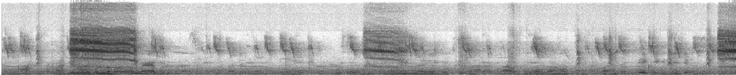 Большой бородастик - ML615859762