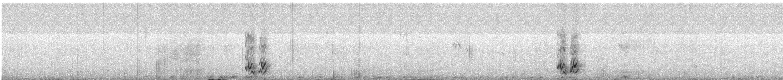 holub útesový - ML615860791