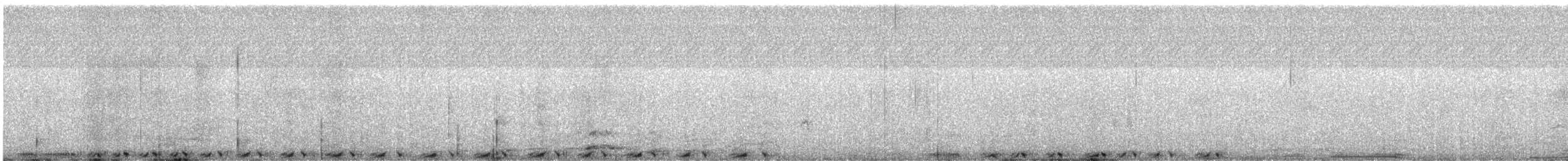 holub útesový - ML615861611
