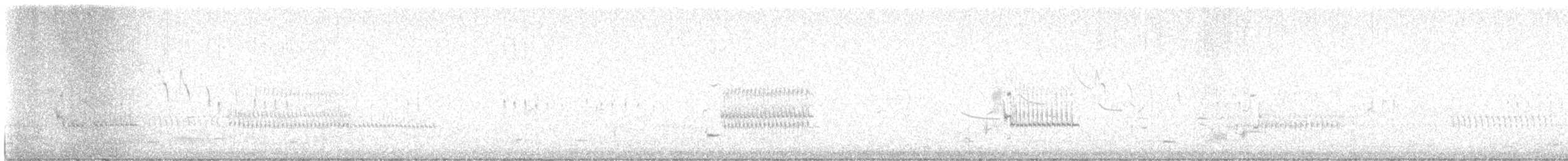 Plectrophane de Smith - ML615862134