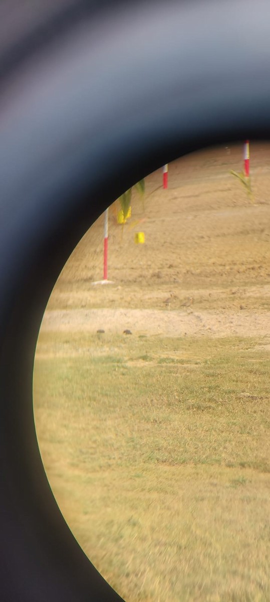 běhulík rezavoprsý - ML615866823