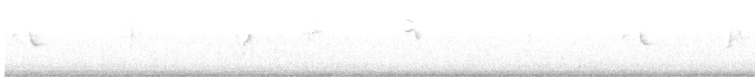 Tohi à nuque claire - ML615867650