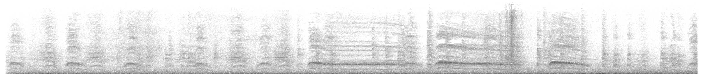 Hartlaub's Gull - ML615870417