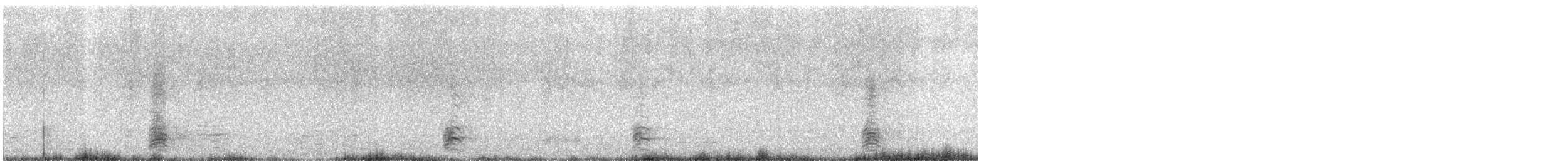 Oca facciabianca - ML615870534