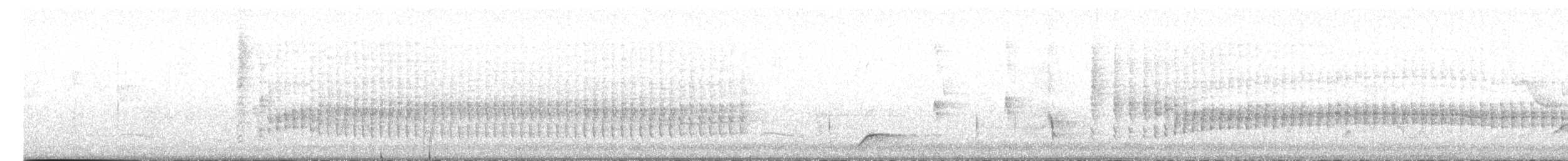spydknottsmett (rufiventris gr.) - ML615870910