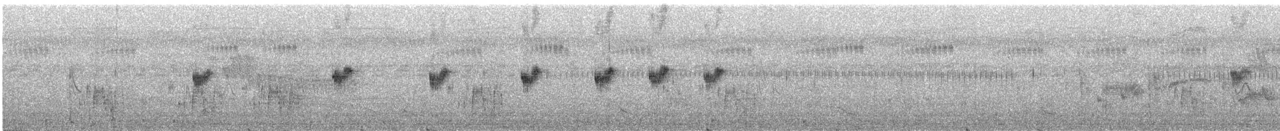 Mégalure de Neumann - ML615871159