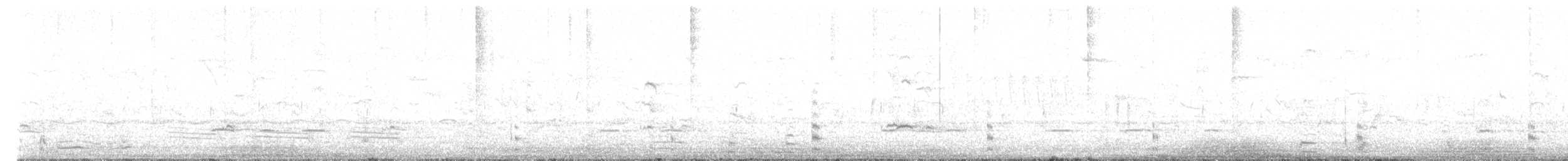 Sarcelle d'hiver (crecca) - ML615871727