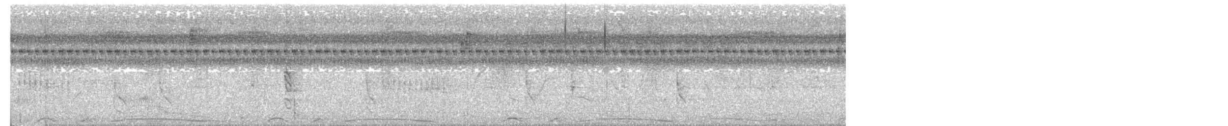 holub neotropický - ML615872288