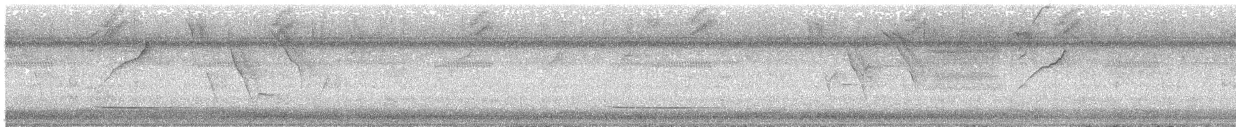 Серый скрытохвост - ML615872708