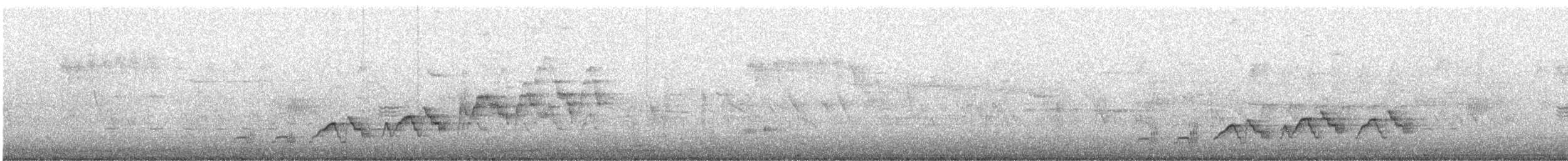 Дрізд-короткодзьоб Cвенсона - ML615873929