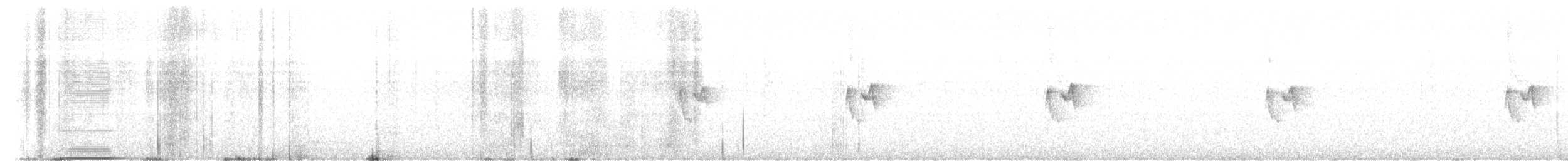 עלווית לבנת-גבות - ML615877461