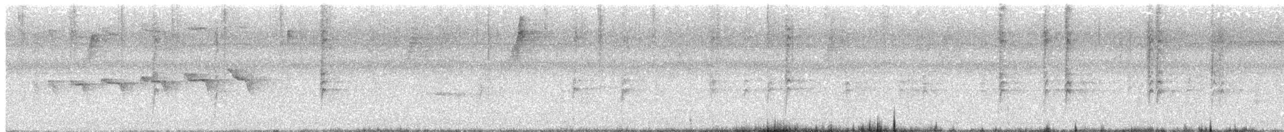 Braunscheitel-Ameisenvogel - ML615878165