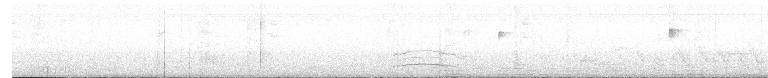 mørkhettetyrann (lawrenceii gr.) - ML615878359