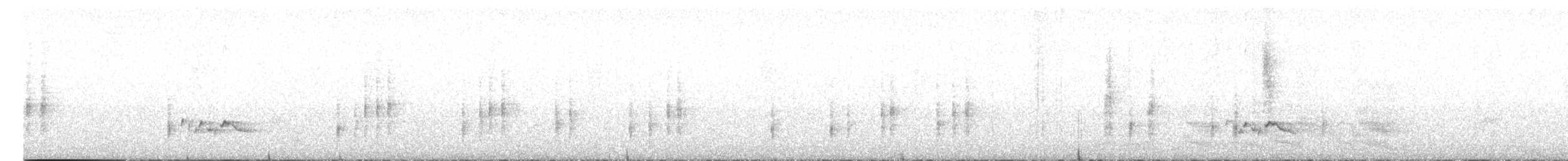 Ak Karınlı Çıtkuşu [leucogastra grubu] - ML615878417