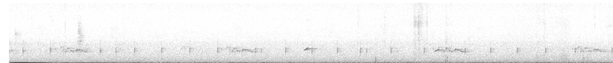 Troglodyte à ventre blanc (groupe leucogastra) - ML615878446