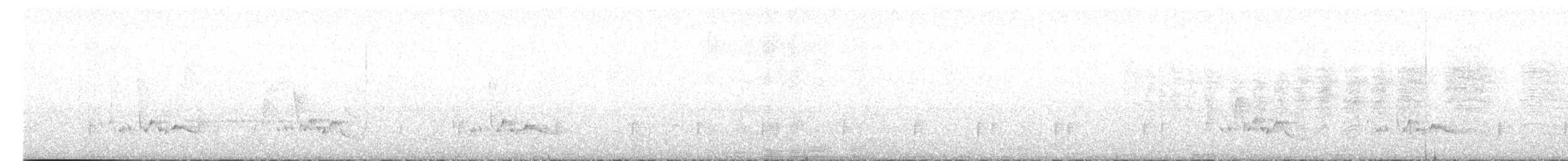 Белобрюхий крапивник [группа leucogastra] - ML615878469