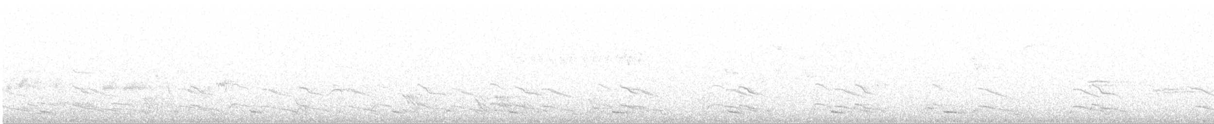 Kuzey Gümüş Martısı (argentatus/argenteus) - ML615878493