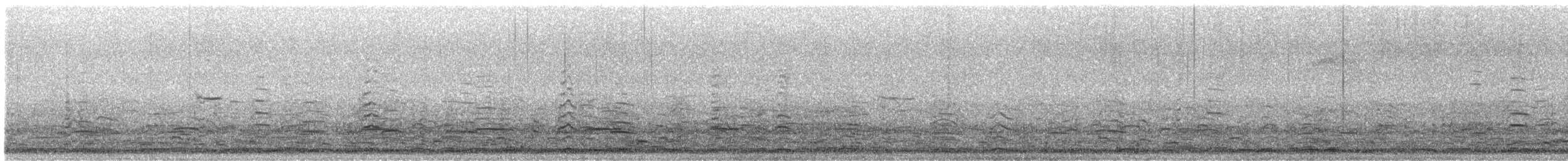 Cygne siffleur - ML615879676