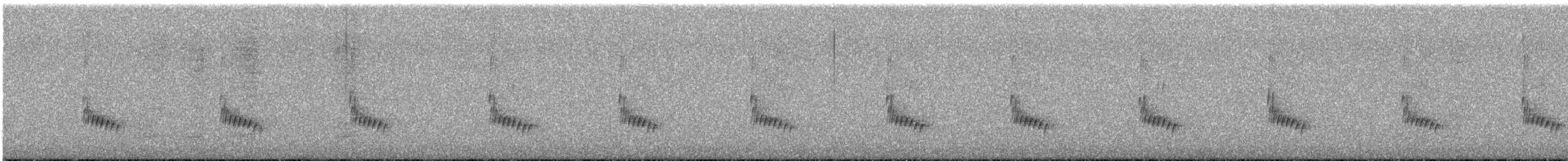 Carolinazaunkönig - ML615881564