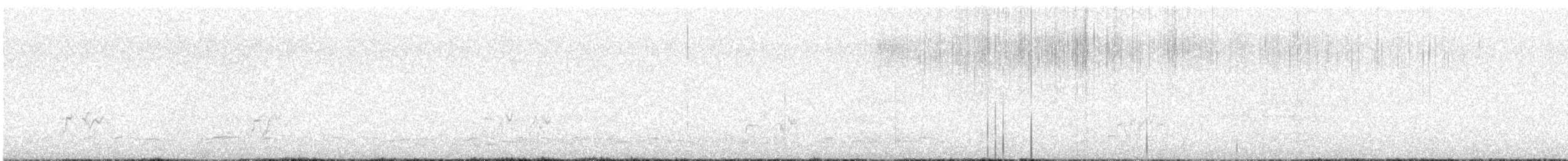 Смеречник тайговий (підвид montana) - ML615881978