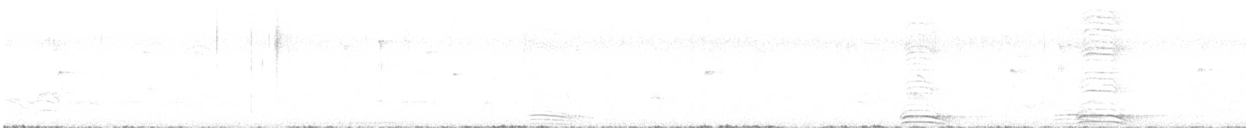Ошейниковый лесной сокол - ML615882491